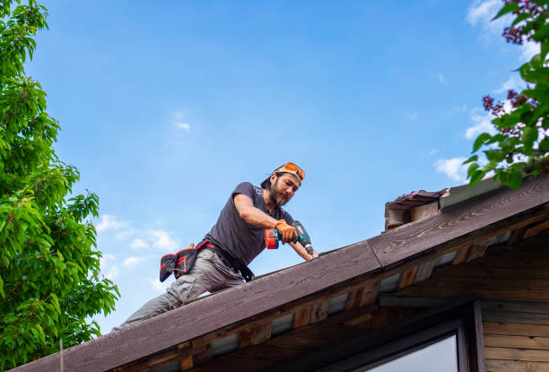 Best 4 Ply Roofing  in Radcliff, KY