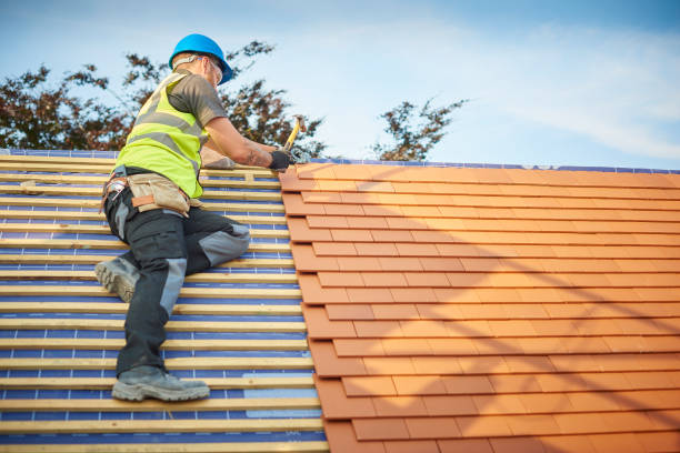 Best Metal Roofing Installation  in Radcliff, KY
